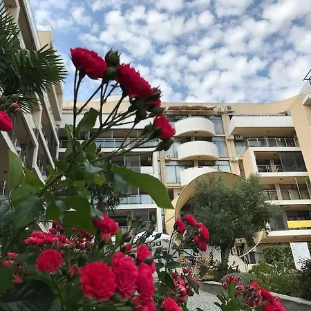 Stunning Seaview * סבטי ולאס